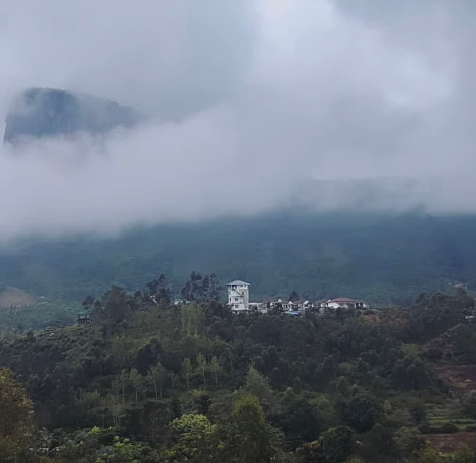 Low clouds settling over forested hills